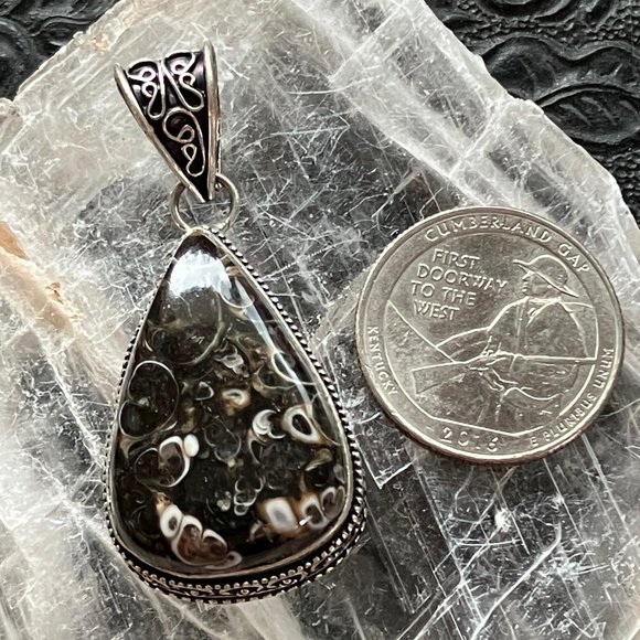 Turitella Fossiliferous Elimia Agate Crystal Stone Jewelry Pendant - Picture 8 of 8